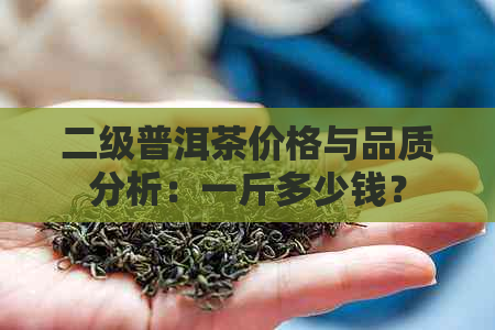 二级普洱茶价格与品质分析：一斤多少钱？