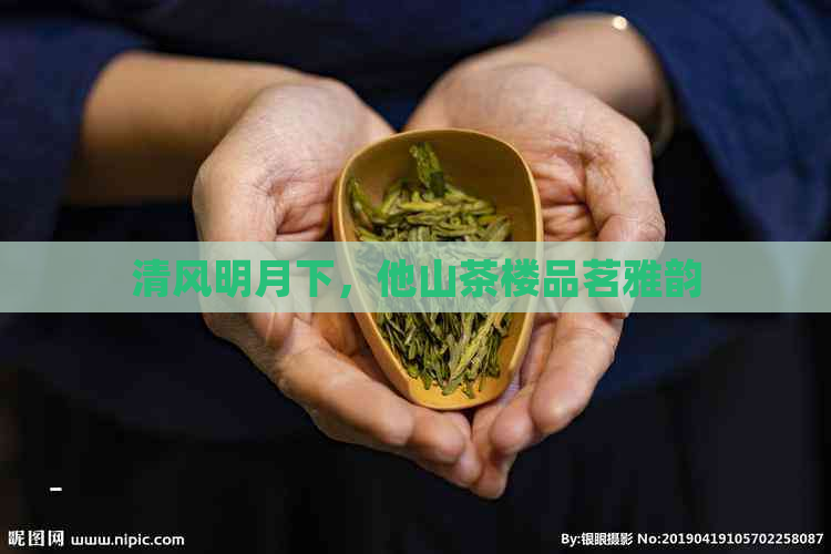 清风明月下，他山茶楼品茗雅韵