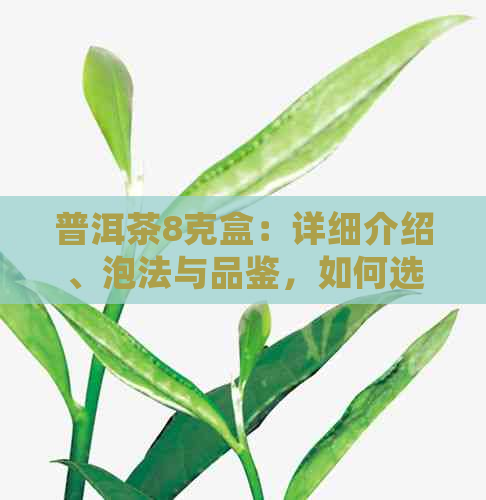 普洱茶8克盒：详细介绍、泡法与品鉴，如何选择最适合您的茶叶？