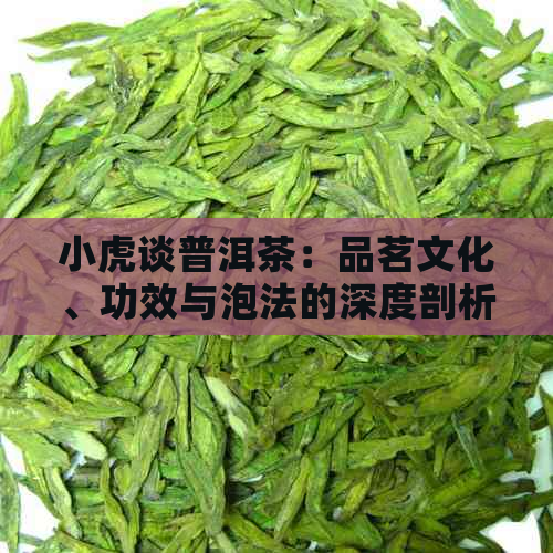 小虎谈普洱茶：品茗文化、功效与泡法的深度剖析