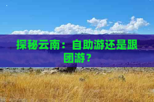 探秘云南：自助游还是跟团游？