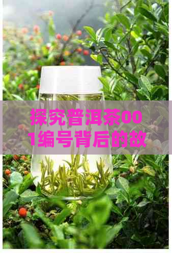 探究普洱茶001编号背后的故事：一份源自历的深度解析