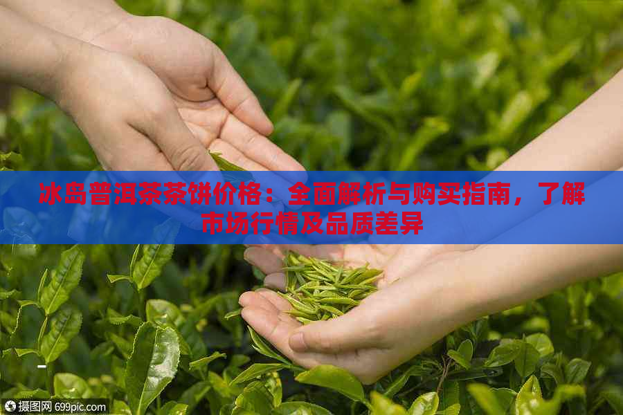 冰岛普洱茶茶饼价格：全面解析与购买指南，了解市场行情及品质差异