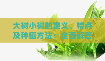 大树小树的定义、特点及种植方法：全面解答您的疑问