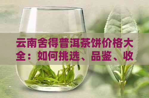 云南舍得普洱茶饼价格大全：如何挑选、品鉴、收藏及最新市场行情解析