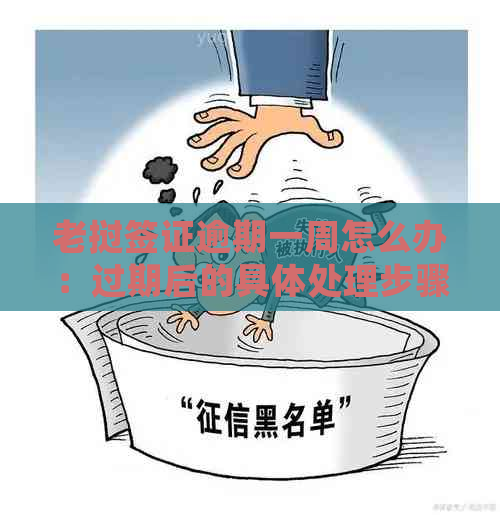 老挝签证逾期一周怎么办：过期后的具体处理步骤与可能影响