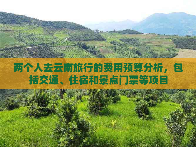 两个人去云南旅行的费用预算分析，包括交通、住宿和景点门票等项目