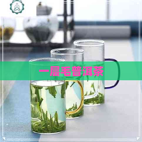 一层毛普洱茶