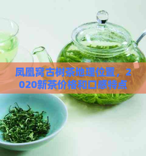 凤凰窝古树茶地理位置，2020新茶价格和口感特点 - 探索这个山头的魅力！