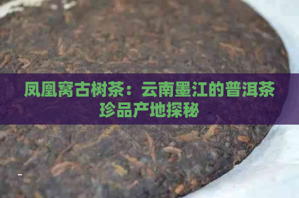 凤凰窝古树茶：云南墨江的普洱茶珍品产地探秘