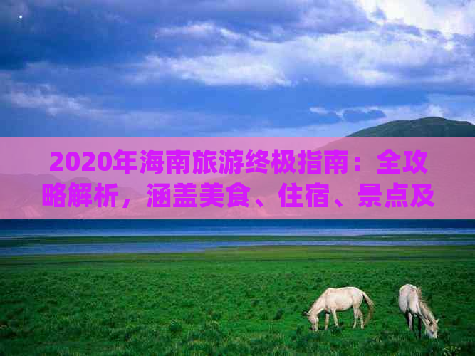 2020年海南旅游终极指南：全攻略解析，涵盖美食、住宿、景点及实用 Tips