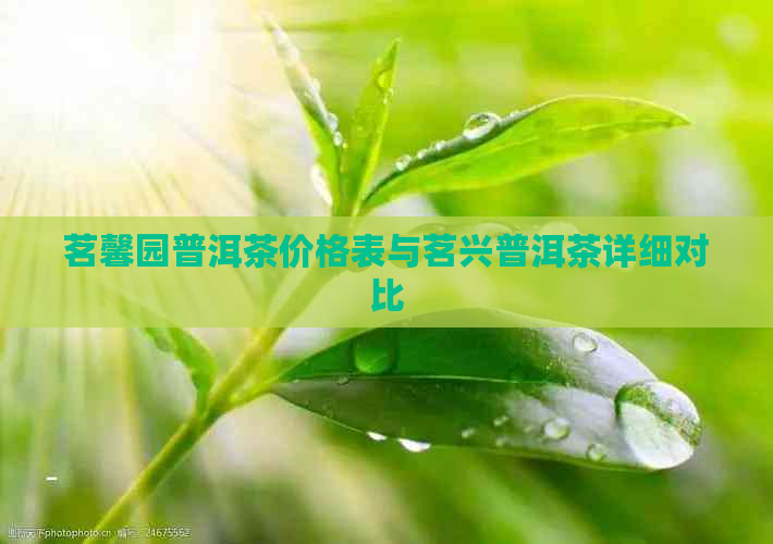 茗馨园普洱茶价格表与茗兴普洱茶详细对比