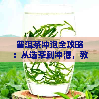 普洱茶冲泡全攻略：从选茶到冲泡，教你打造完美口感！