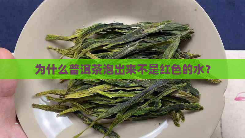 为什么普洱茶泡出来不是红色的水？