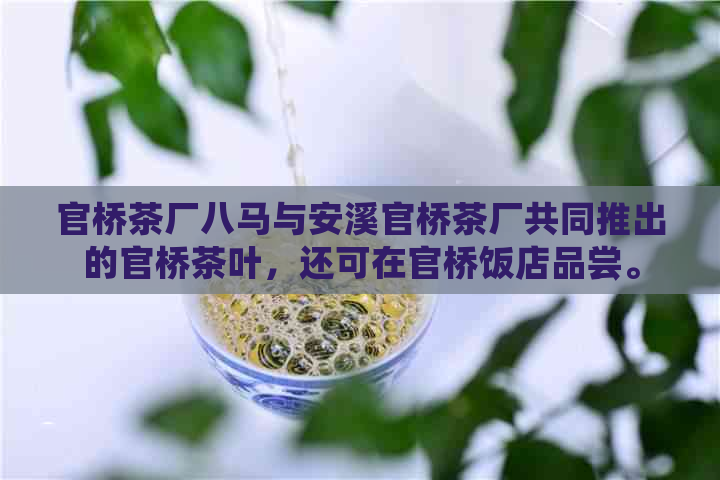 官桥茶厂八马与安溪官桥茶厂共同推出的官桥茶叶，还可在官桥饭店品尝。