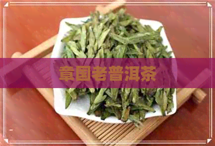 章国老普洱茶