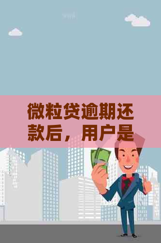 微粒贷逾期还款后，用户是否能继续使用以及相关影响分析