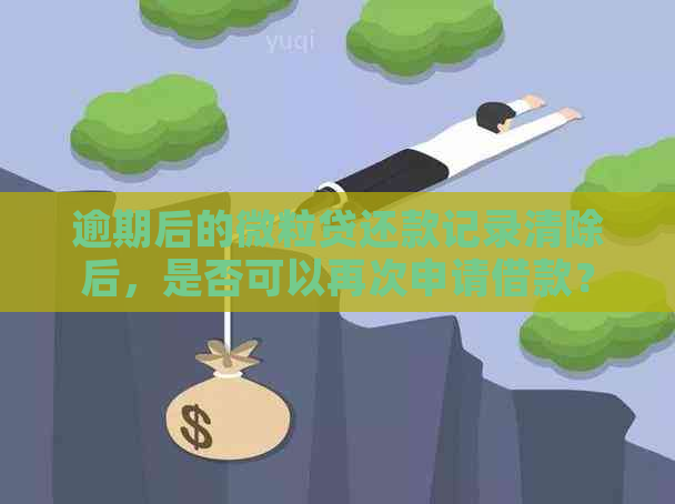 逾期后的微粒贷还款记录清除后，是否可以再次申请借款？