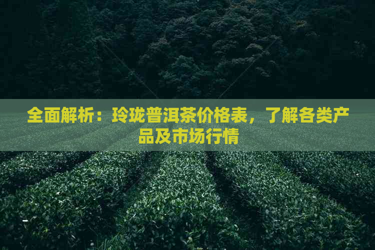 全面解析：玲珑普洱茶价格表，了解各类产品及市场行情