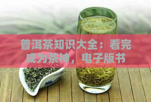 普洱茶知识大全：看完成为茶神，电子版书