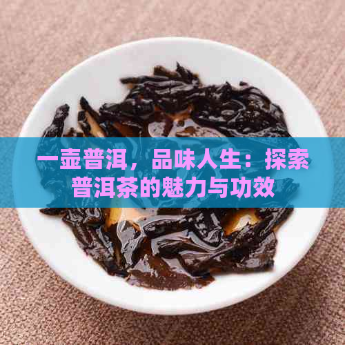 一壶普洱，品味人生：探索普洱茶的魅力与功效