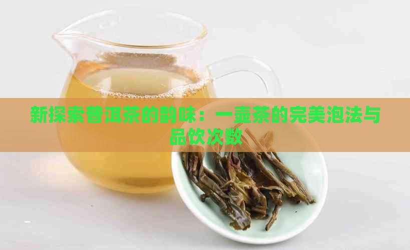 新探索普洱茶的韵味：一壶茶的完美泡法与品饮次数