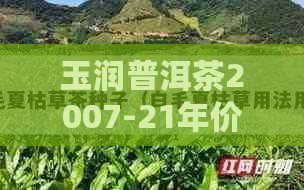 玉润普洱茶2007-21年价格表及行情分析 - 玉润普洱茶行