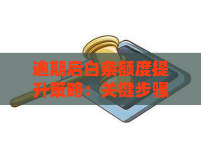 逾期后白条额度提升策略：关键步骤与影响因素探讨