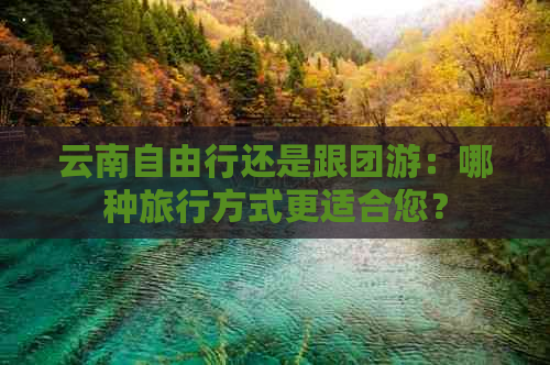 云南自由行还是跟团游：哪种旅行方式更适合您？