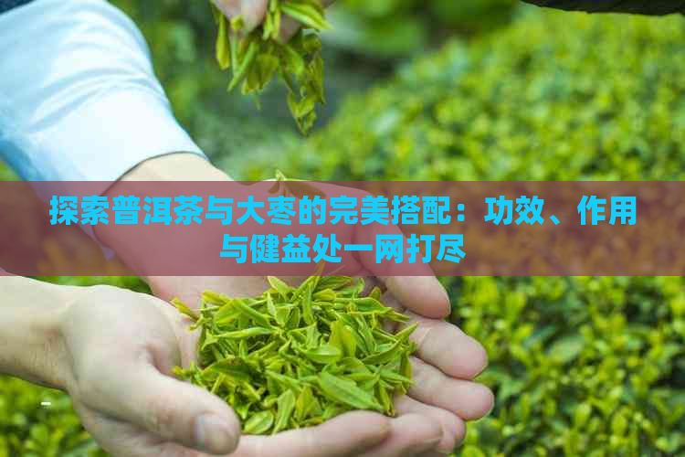 探索普洱茶与大枣的完美搭配：功效、作用与健益处一网打尽