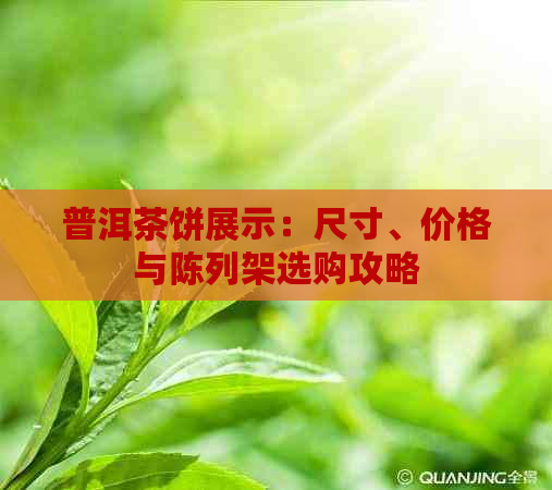 普洱茶饼展示：尺寸、价格与陈列架选购攻略