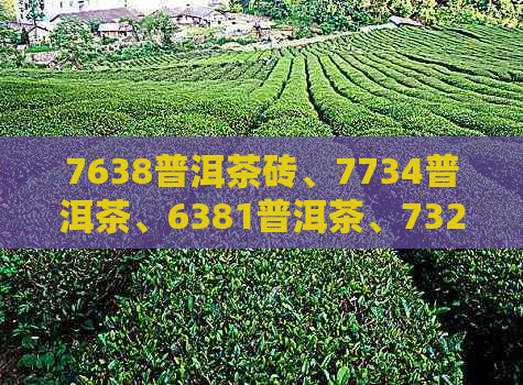 7638普洱茶砖、7734普洱茶、6381普洱茶、7321普洱茶、7538普洱茶