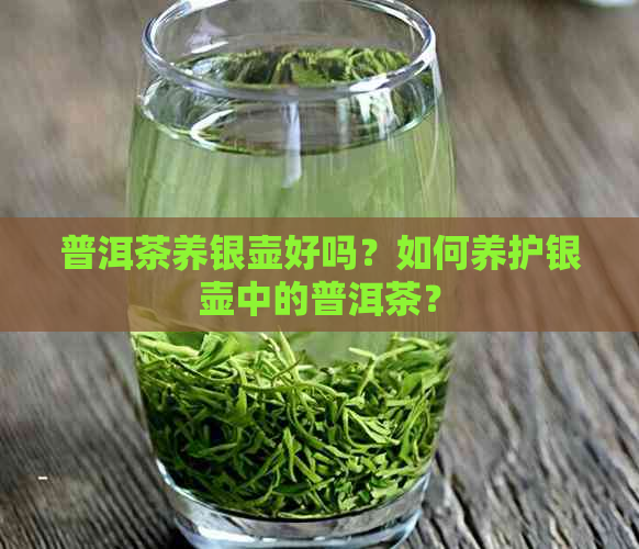 普洱茶养银壶好吗？如何养护银壶中的普洱茶？