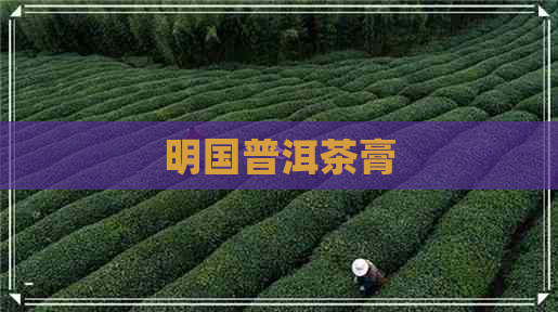 明国普洱茶膏