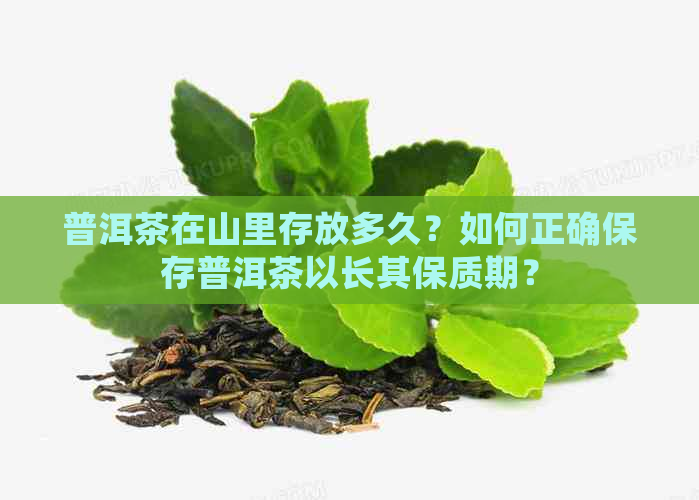 普洱茶在山里存放多久？如何正确保存普洱茶以长其保质期？