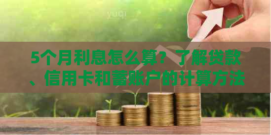 5个月利息怎么算？了解贷款、信用卡和蓄账户的计算方法