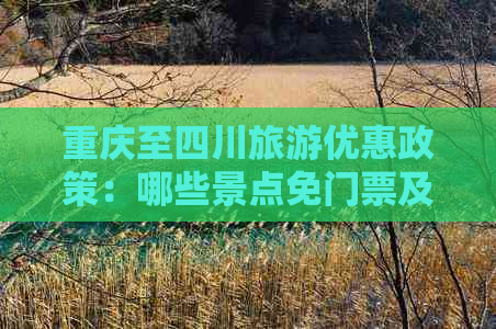 重庆至四川旅游优惠政策：哪些景点免门票及详细条件解析