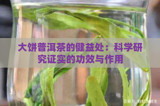 大饼普洱茶的健益处：科学研究证实的功效与作用