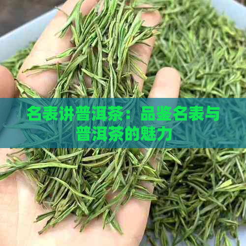 名表讲普洱茶：品鉴名表与普洱茶的魅力