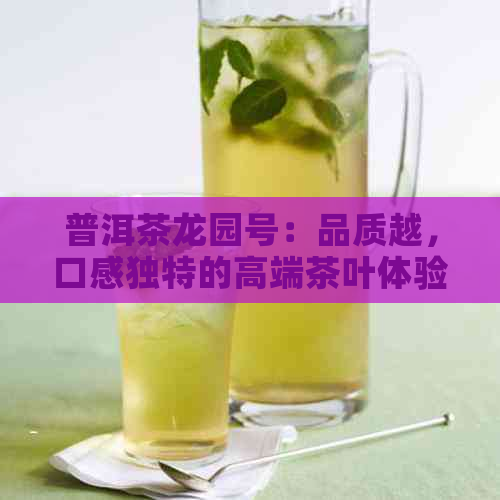 普洱茶龙园号：品质越，口感独特的高端茶叶体验