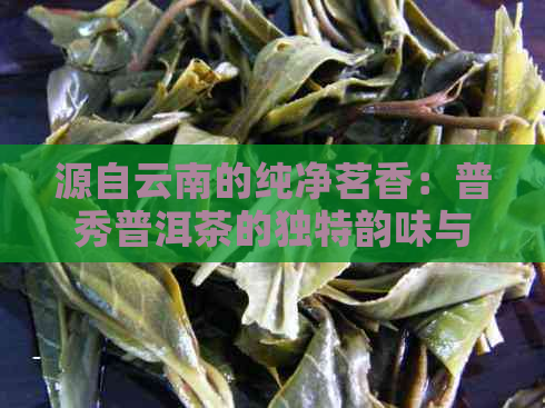 源自云南的纯净茗香：普秀普洱茶的独特韵味与品质