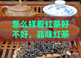 怎么样看红茶好不好，品味红茶的技巧与方法