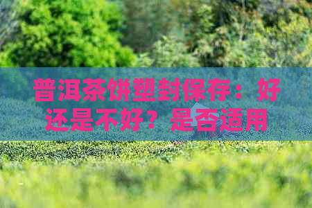 普洱茶饼塑封保存：好还是不好？是否适用？