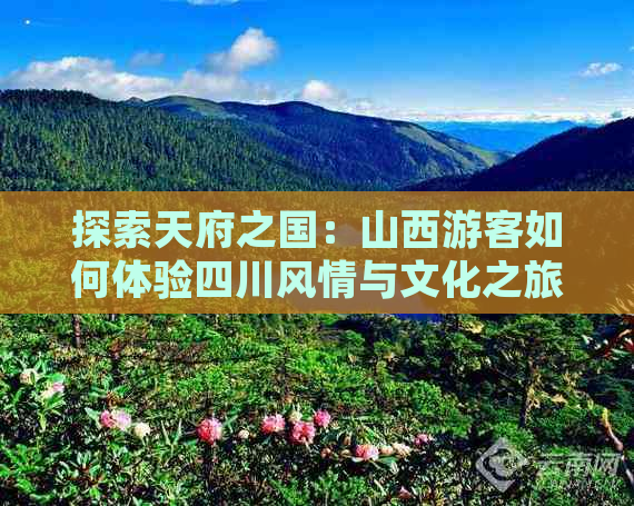 探索天府之国：山西游客如何体验四川风情与文化之旅