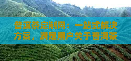 普洱茶定制网：一站式解决方案，满足用户关于普洱茶定制的所有疑问和需求