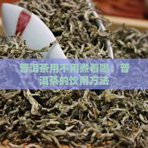 普洱茶用不用煮着喝：普洱茶的饮用方法