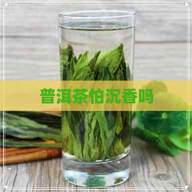 普洱茶怕沉香吗