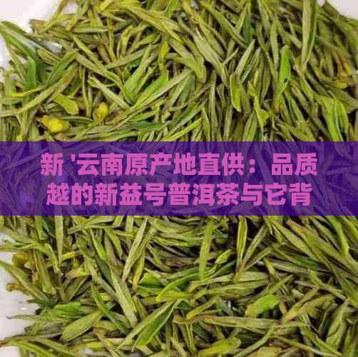 新 '云南原产地直供：品质越的新益号普洱茶与它背后的故事'