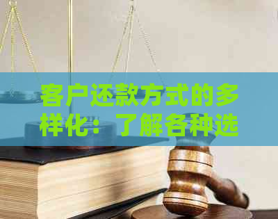 客户还款方式的多样化：了解各种选项及其影响