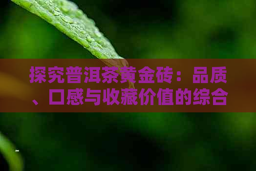 探究普洱茶黄金砖：品质、口感与收藏价值的综合评价